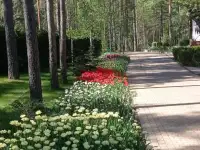 Услуги по озеленению, ландшафтному дизайну и благоустройству, фотография 4