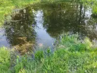 Усадьба Монте Кристо в струсто, фотография 11