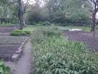 Земельный участок в Минске в аренду, 1-й Трубный переулок