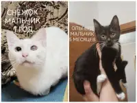 ПОЖАЛУЙСТА, НЕ ПРОХОДИТЕ МИМО!!!, фотография 8