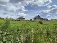 Участок в 18 км от Минска в СТ Калезея рядом с д.Беларучи, фотография 7