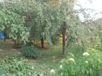 Продаётся добротный дом в живописном месте., фотография 3