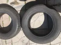 Шины