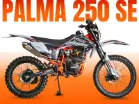 Мотоцикл эндуро PROGASI PALMA 250 SE
