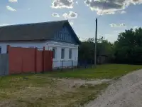 Частный дом, обл, Добрушский район, д.Иваки, фотография 2