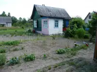 Дача с красивым, уютным домиком и большим огородом 12.4 сот. в СТ Сосновый бор-2, фотография 7