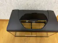 Аквариум, фотография 3