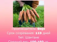 Марковь сорт кардоба