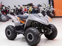Квадроцикл Regulmoto SK11 (к-т з/ч), фотография 3