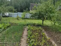 Дачный участок, Минская район.Садовае товарищества Подвески., фотография 11