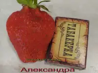 САЖЕНЦЫ КЛУБНИКИ - 50 сортов  - купить в Москве и Смоленске  СПБ, фотография 7