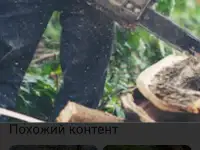 Обрезка деревьев. Недорого., фотография 4