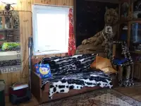 продам дачу в Барвин перевоз, фотография 11