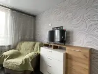 Прекрасная квартира в аренду на сутки в городе Хотимск, фотография 4