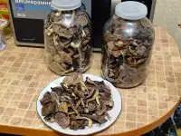 Сушёные грибы, фотография 2