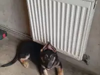 Продаю