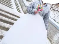 Шубка свадебная меховая накидка монто на сутки, фотография 3