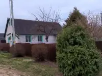 ПРОДАМ УЮТНЫЙ ДОМ В Д.БРЮХОВО (ЭТО В  ОРЕХОВСКЕ, ОРШАНСКИЙ Р-Н), фотография 9