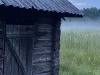 Отдых на Браславских озёрах, фотография 2