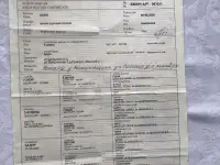 Продажа щенков англо-русской гончей, фотография 6