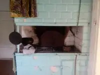 Продам дом в деревне, Бояры, 2, фотография 10
