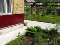 Продам дом, ул. Козловской, фотография 4