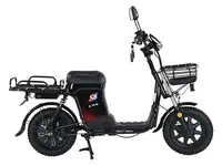 Электровелосипед smartbalance master pro 50 ah (2025)