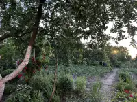 4-х комнатная квартира в блокированном двухэтажном доме, фотография 8
