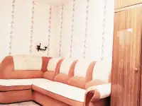 Сдаю 1-комнатную уютную квартиру, пр. Пушкина 5, фотография 2