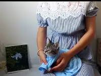 Всем привет отдам в добрые руки Керри, фотография 2