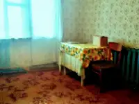 Продаётся квартира 75кв.м в агрогородке Рясно дрибинский р-н Могилевская обл., фотография 8