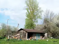 Уютный дом в лесу для души и отдыха. 25 соток уединения, но в деревне с соседями., фотография 6