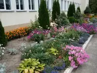 Дом для постоянного проживания или отдыха, Витебская область, Шарковшинский район, агр. Германовичи, фотография 9