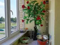 Продажа квартиры, Аг Вейно, ул. Весенняя, д1, фотография 6