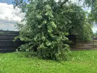звонить с 8 до 21,, фотография 5