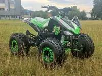 Квадроцикл amoto 70u renegade 1000, фотография 3