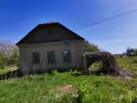 Дом с участком, Могилевская обл., р-он, д.Плессы, фотография 2
