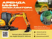 аренда Мини экскаватора
