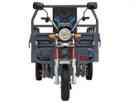 Грузовой электротрицикл rutrike титан 2000 гидравлика 60v1500w, фотография 11