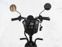 Электросамокат AVM DELTA TRIKE, фотография 12