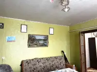 Кирпичный дом со всеми удобствами, Гомельская обл, Добрушский р-н, фотография 10