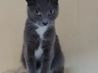 Ласковая Эльфи, фотография 2