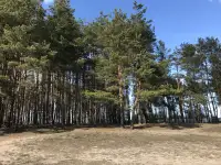 Квартира в хорошем месте с отличным ремонтом, Осиповичский район, Лапичи, фотография 12
