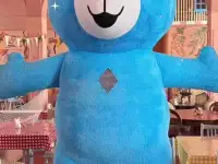 Как новые и новые надувные плюшевые костюмы
