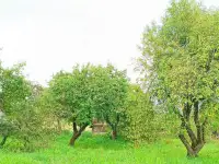 Продается крепкий дом по адресу: Минская область, Воложинский район, Вишневский сельсовет, дер. Новоселки, дом 69, фотография 8