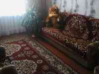 Продам дом, фотография 5