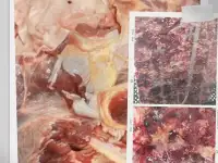 Фарш и обрезь из говядины., фотография 4
