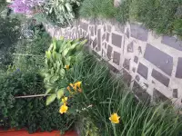 Дача, дачный участок возле Жодино, Садовое товарищество 