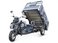 Грузовой электротрицикл rutrike атлант-у 2000 60/72v2000w, фотография 10