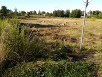 продажа участка, Минская область, Березинский район, д. Бычин.